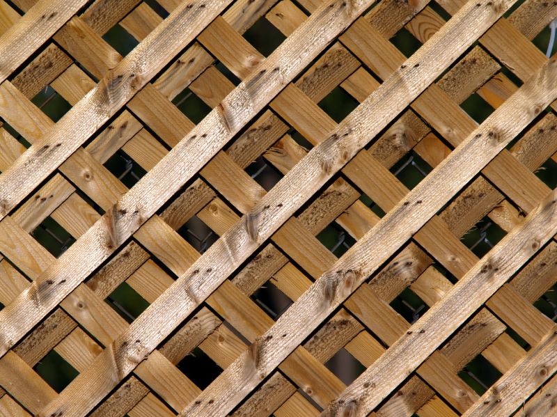Wood Lattice Repair