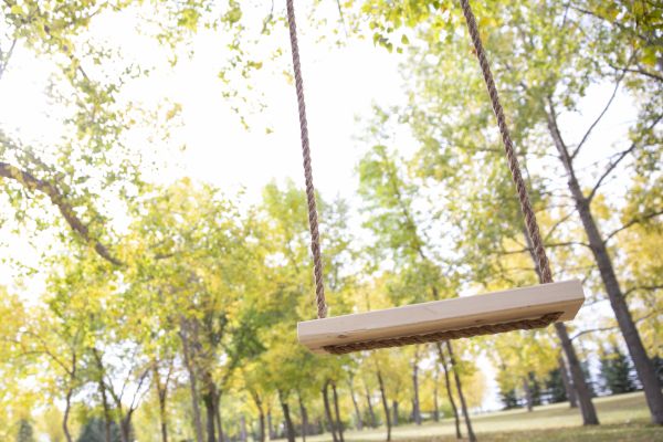 Cost of Tree Swing Installation in El Dorado Hills