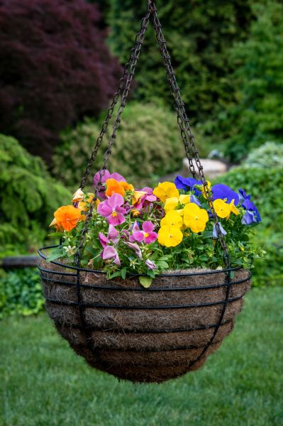 Cost of Hanging Basket Installation in El Dorado Hills