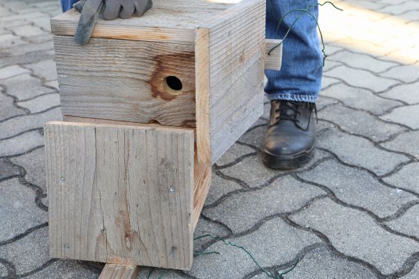Cost of Birdhouse Mounting in El Dorado Hills