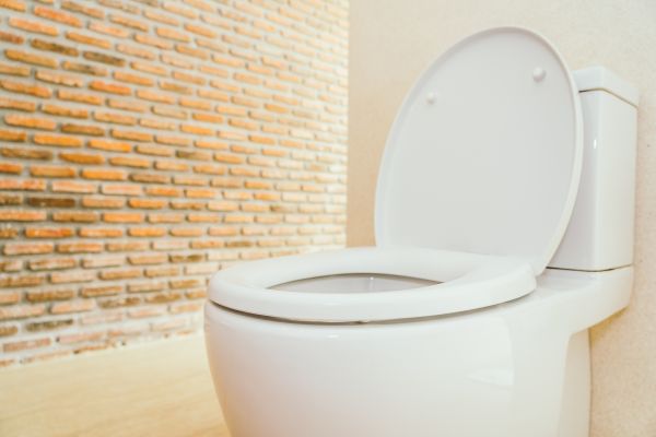 Cost of Toilet Seat Repair in El Dorado Hills